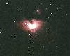 M42のアップ写真