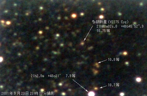 [多胡新星の写真]