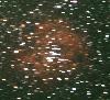 ばら星雲の写真